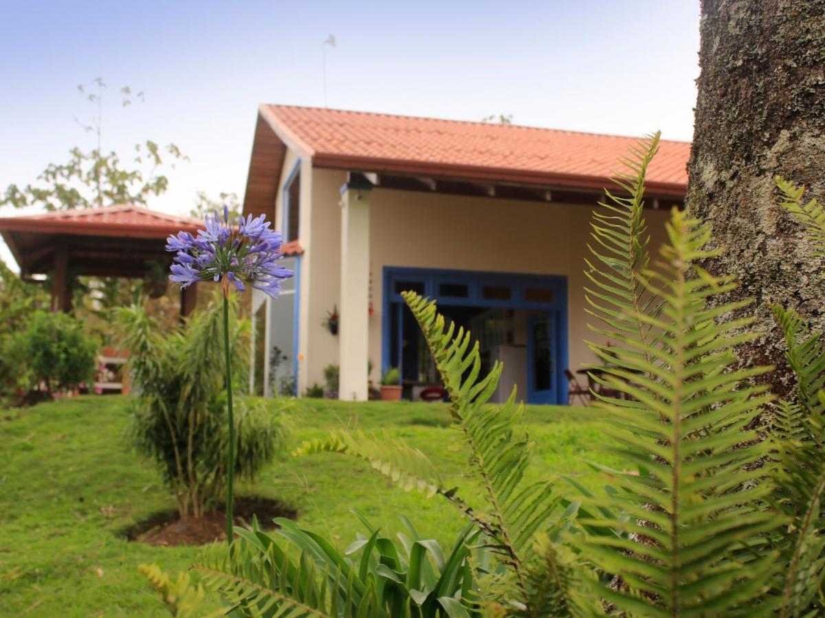 Casa Bartzis, Close To Orosi And Tapanti National Park Екстериор снимка